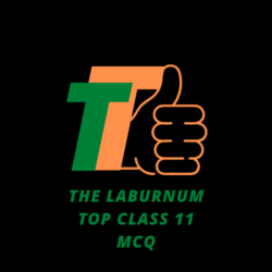 The Laburnum Top class 11 mcq 