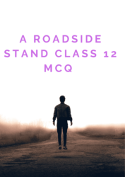 A Roadside stand class 12 MCQ 
